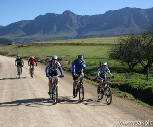 Greyt Upcoming Events in Greyton