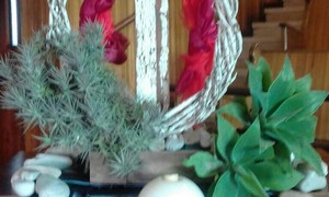 Pinkster 2017: Ons ervaar die goedheid van die Here