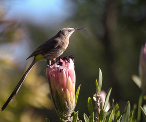 Upcoming Events & Specials in Caledon