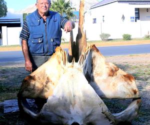 Geraamtes  is Piet Walvis se tydverdryf van jongs af