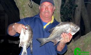 Nuwe voorlopers by kushengelklub