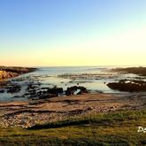 Bellamente: De Kelders