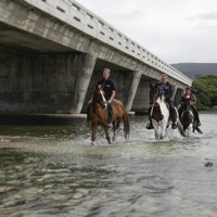 Riding next to the bridge with Horse Riding Gansbaai