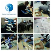 Canine First Responder Course