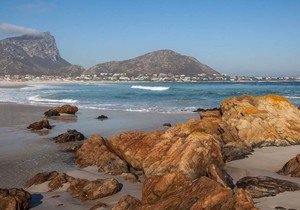 5 Spots to Visit when in Pringle Bay & Rooi Els
