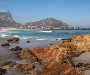 5 Spots to Visit when in Pringle Bay & Rooi Els