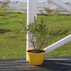 Just Property Struisbaai