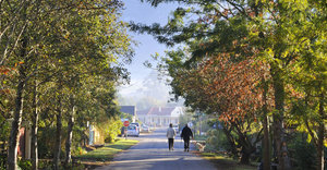 5 Spots to Visit in Greyton