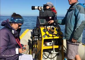 Researchers collaborate on an exciting marine project