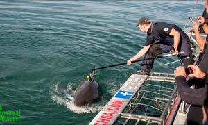 International research team work with DICT