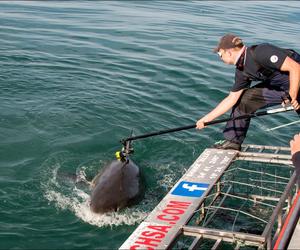 International research team work with DICT