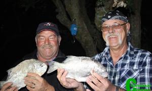 Breë, verleë glimlagte oor galjoentjies