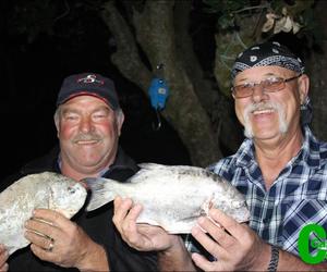 Breë, verleë glimlagte oor galjoentjies