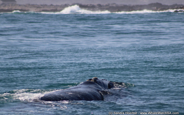 1_20170629_DC_Trip1_SHoerbst_IMG_58_1498826735