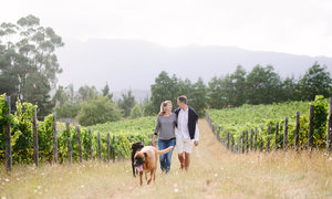 5 Great Stops in Grabouw