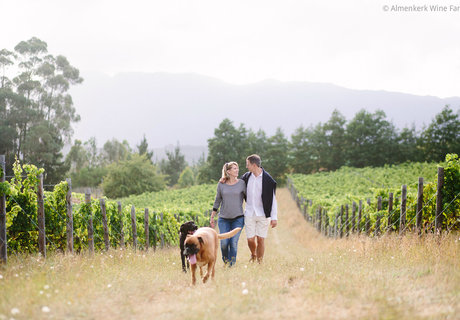 5 Great Stops in Grabouw