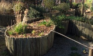 The School's Vegetable Garden