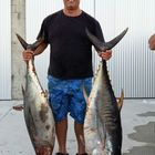 Yellowfin Tuna Yellowfin Tuna