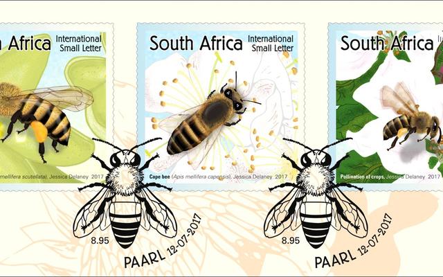 Posseëls moet nou die boodskap van heuningbye wat gevaar loop om te verdwyn, wêreldwyd versprei.