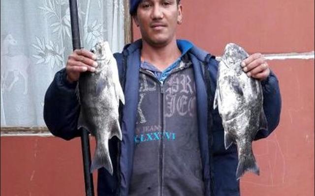 Durlin Africa spog hier met die twee galjoene wat hy Vrydag, 30 Junie 2017 by Buffeljagsbaai met wurms gevang het. Die twee galjoene weeg onderskeidelik 2kg en 1.5kg.