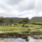 Xplorio™ Stanford - The Tasting Room at Stanford Hills - View