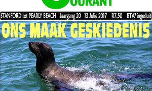 SAPD tree flink op, inbrake bly kopseer