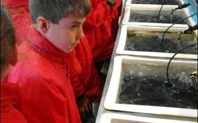 Leaners from Paul Greyling Primary School in Vishoek, were amazed by the breeding of abalone at I&J Abalone Farm at Dangerpoint where Dirkie Kotze showed them around.