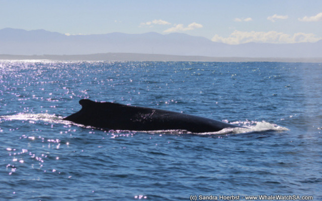 1_20170723_DC_Trip2_SHoerbst_IMG_26_1500899173