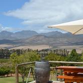 Views of the Mountain 