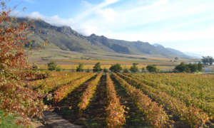 5 Spots to Visit when in Villiersdorp