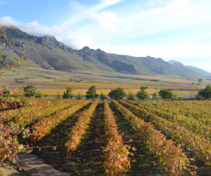 5 Spots to Visit when in Villiersdorp