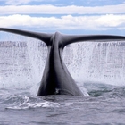 This amazing image was captured by our lovely guests from Juju.