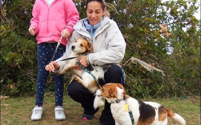 Jaunene en Jancke (8) Otto kry hulle BARC hondjies gereed vir hul staptog op Mandeladag.