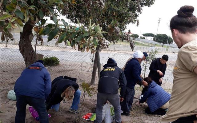 Masakhane Créche se bome wat deur Gansbaai Toerisme gereël is word hier deur White Shark Projects geplant.