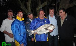 Nie net klein galjoentjies nie