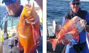 Overberg neem deel aan WP-liga