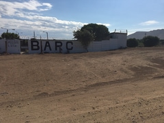 Building Project: 10 Kennels 