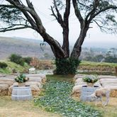 Wedding seating area