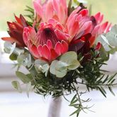 Fynbos flower bouquet