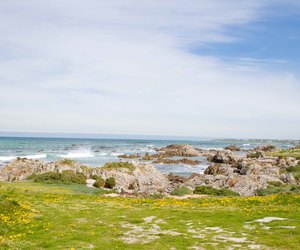 Springtime in Franskraal