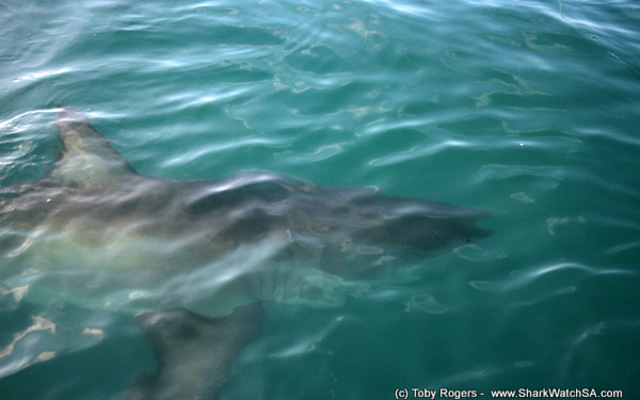 1_20170829_SF_Trip1_TRogers_IMG_07_1504083728