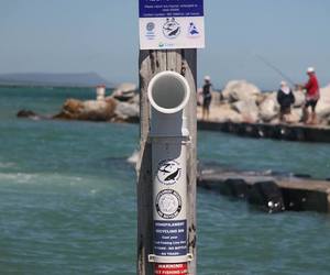 Fishing Line Bin Project