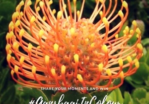 September colour is orange - #GansbaaiInColour