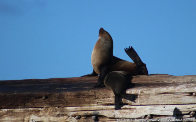 1_20170813_DC_Trip1_SHoerbst_IMG_55_580x387_1504598383