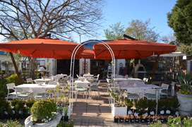 In your Greyton Garden In September