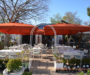 In your Greyton Garden In September