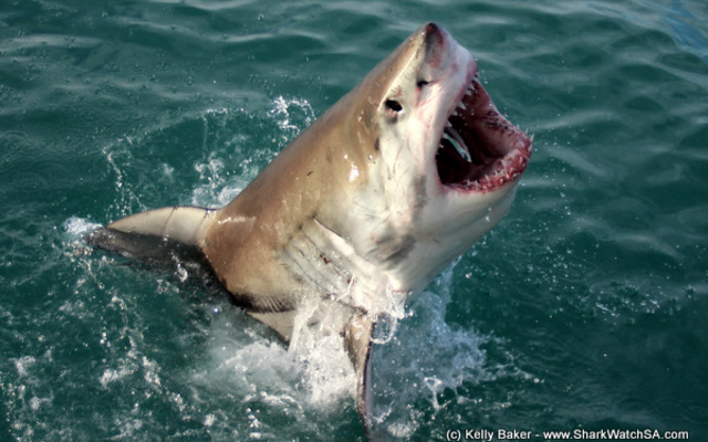 20170906_SF_Trip1_KBaker_IMG_090_1504780820