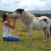 Charlie, our retired circus pony.