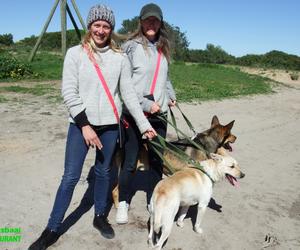 Animals@Peace sien om na BARC-honde