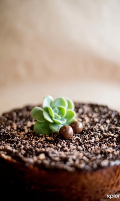 Annas_Pies_chocolate_cake_1505732171